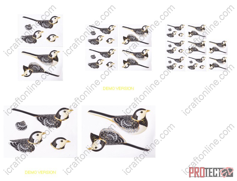Black and Gold Bird Set - 5 x A4 Pages to Download