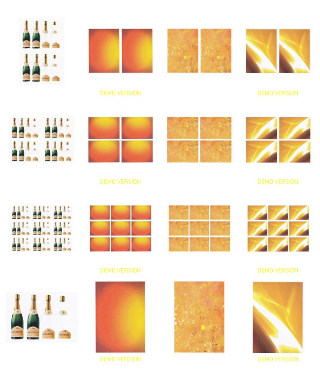 Champagne Bottle Decoupage Set - 4 Sizes - 16 x A4 Pages
