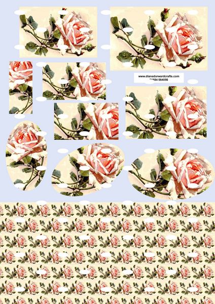 Diane Dorward Peach Rose Combination Sheet