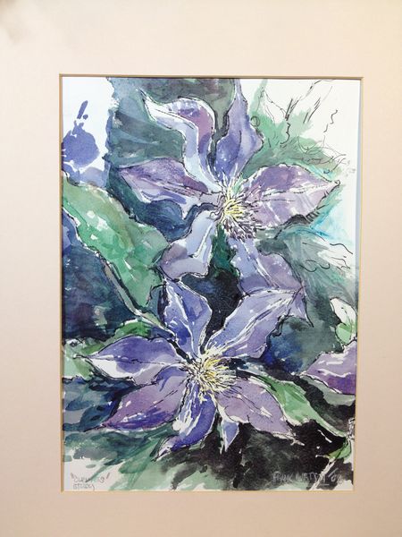 Frank Watson - Clematis Study A4 Hand Finished Print
