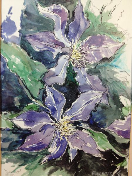 Frank Watson - Clematis Study A4 Hand Finished Print